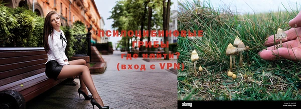 скорость Остров
