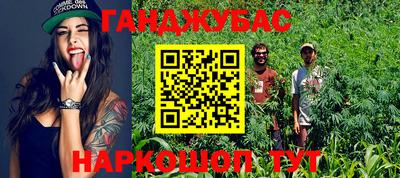 мдпв Аргун