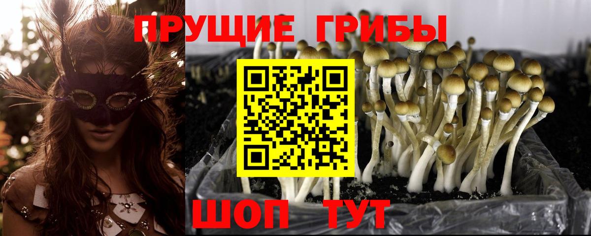 Галлюциногенные грибы GOLDEN TEACHER  Златоуст 