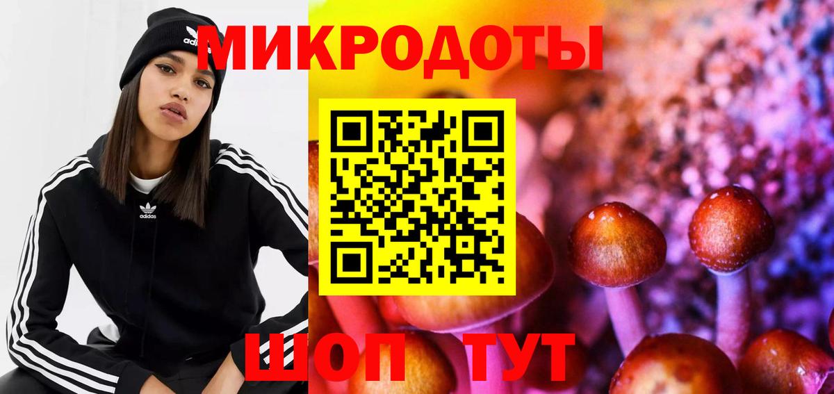 Галлюциногенные грибы мицелий Златоуст