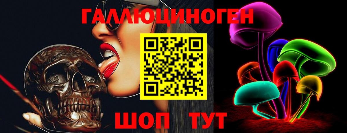 Златоуст  Галлюциногенные грибы Psilocybine cubensis  Вход с VPN  Псилоцибиновые грибы Psilocybine cubensis 